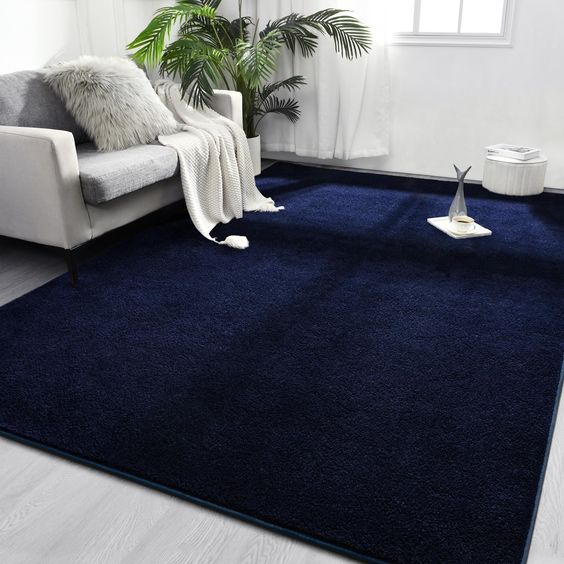 Best BLue Carpets