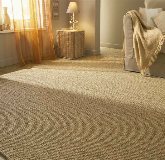 Best Sisal Carpets